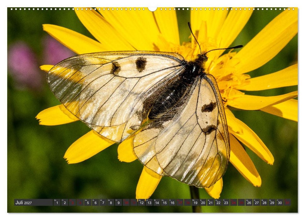 Naturschätze der Südwestalb (CALVENDO Premium Wandkalender 2027)