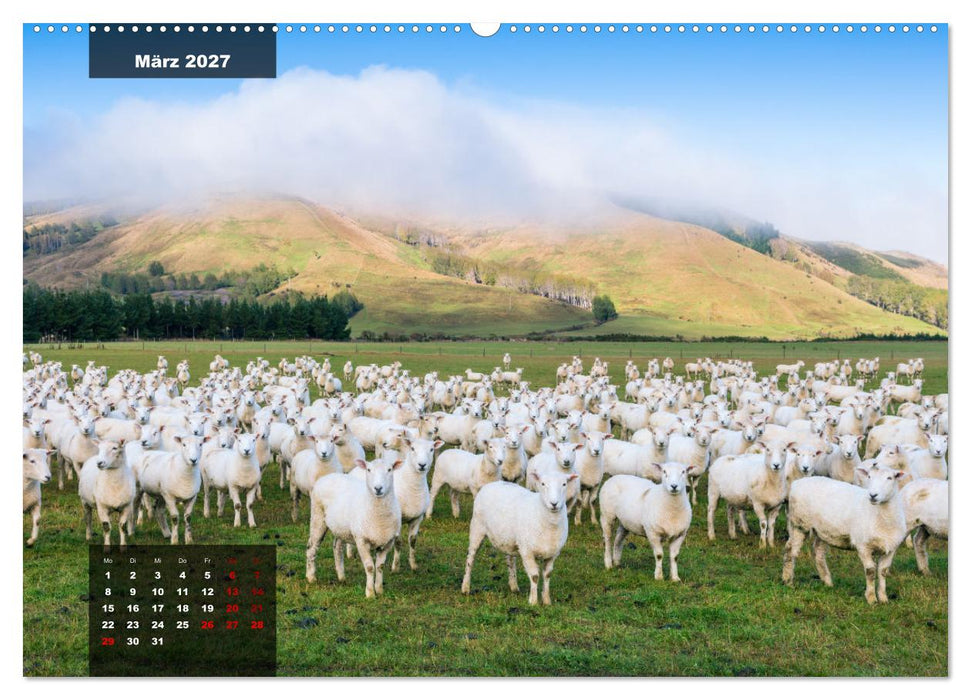 Neuseeland - Traumlandschaften aus einem Naturparadies (CALVENDO Wandkalender 2027)