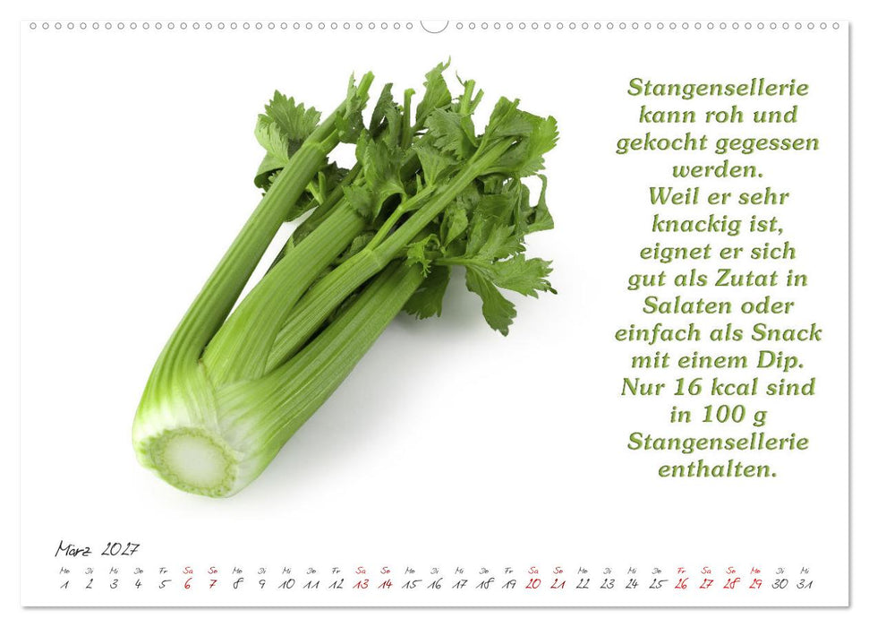 Gesund durchs Jahr (CALVENDO Premium Wandkalender 2027)