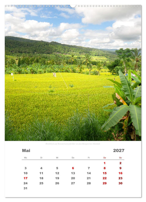 Reiseimpressionen durch Bali (CALVENDO Wandkalender 2027)