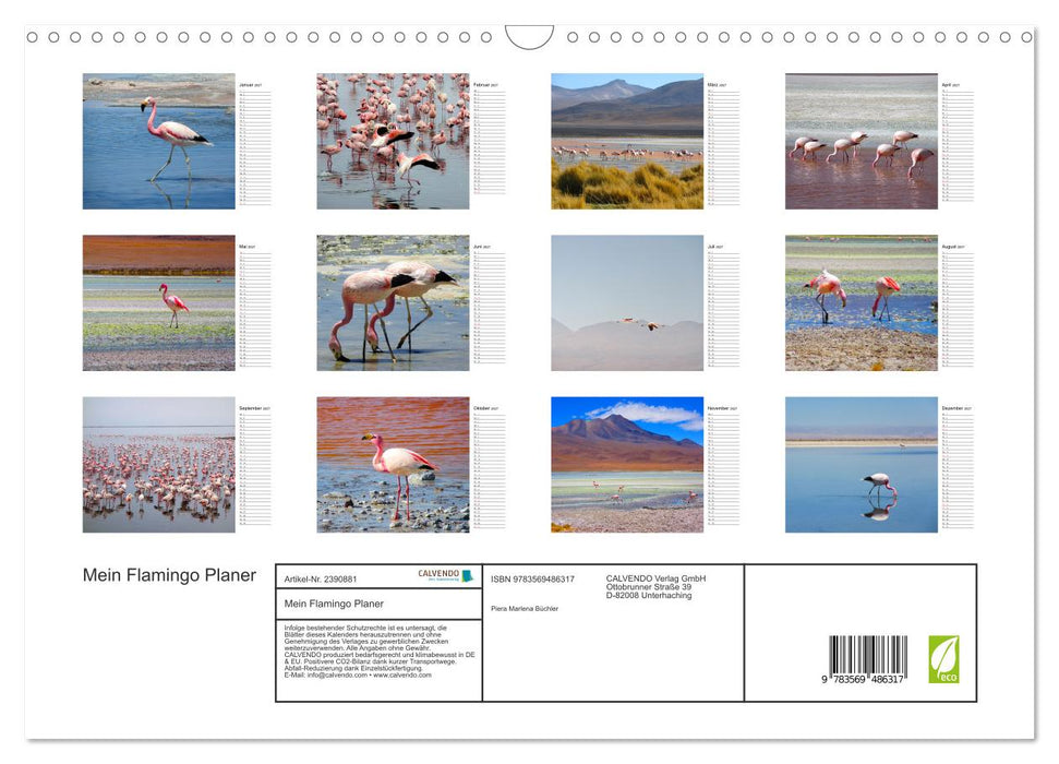 Mein Flamingo Planer (CALVENDO Wandkalender 2027)