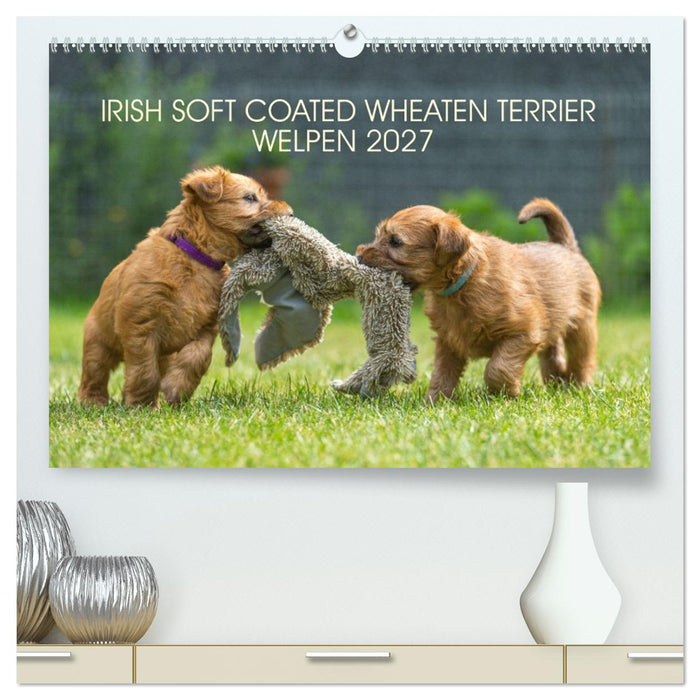 IRISH SOFT COATED WHEATEN TERRIER WELPEN 2027 (CALVENDO Premium Wandkalender 2027)