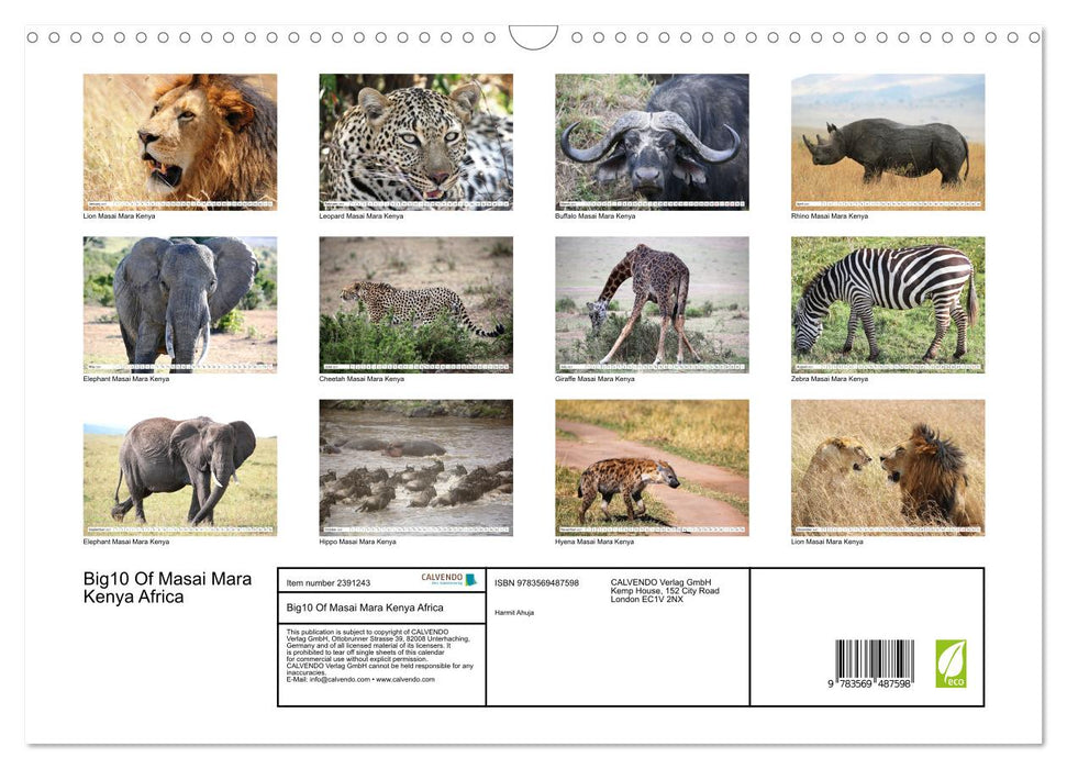 Big10 Of Masai Mara Kenya Africa (CALVENDO Monthly Calendar 2027)