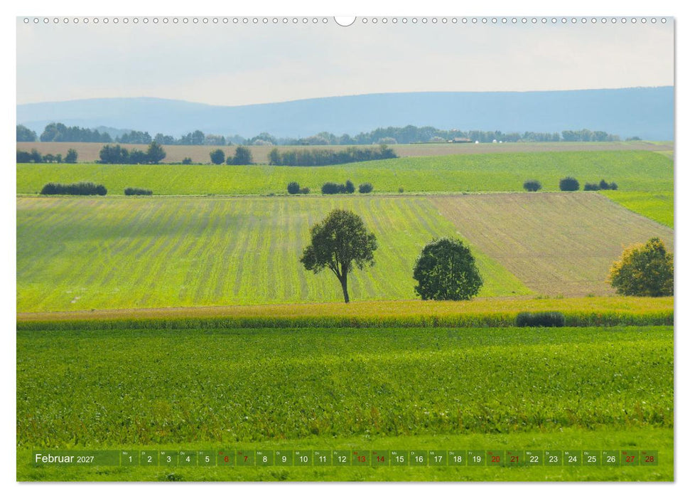 Bad Nenndorf, Kurpark-Impressionen (CALVENDO Premium Wandkalender 2027)