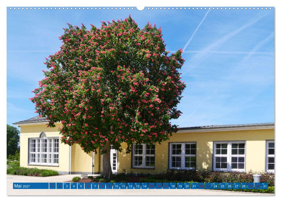 Bad Nenndorf, Kurpark-Impressionen (CALVENDO Premium Wandkalender 2027)
