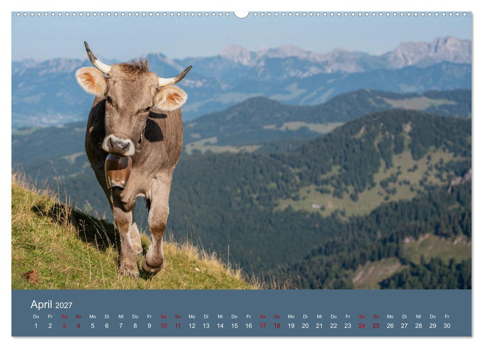 Heimweh Allgäu 2027 (CALVENDO Premium Wandkalender 2027)