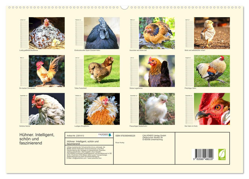 Hühner. Intelligent, schön und faszinierend (CALVENDO Wandkalender 2027)