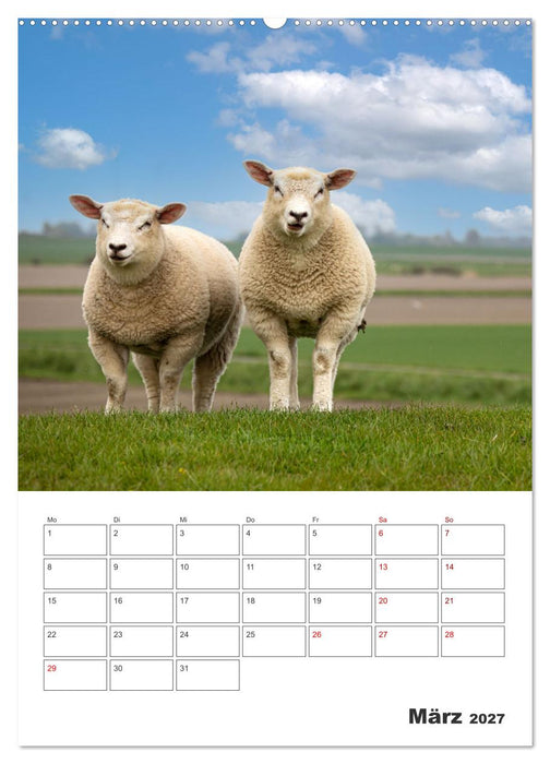 Sankt Peter-Ording Sonne, Strand und Meer (CALVENDO Wandkalender 2027)