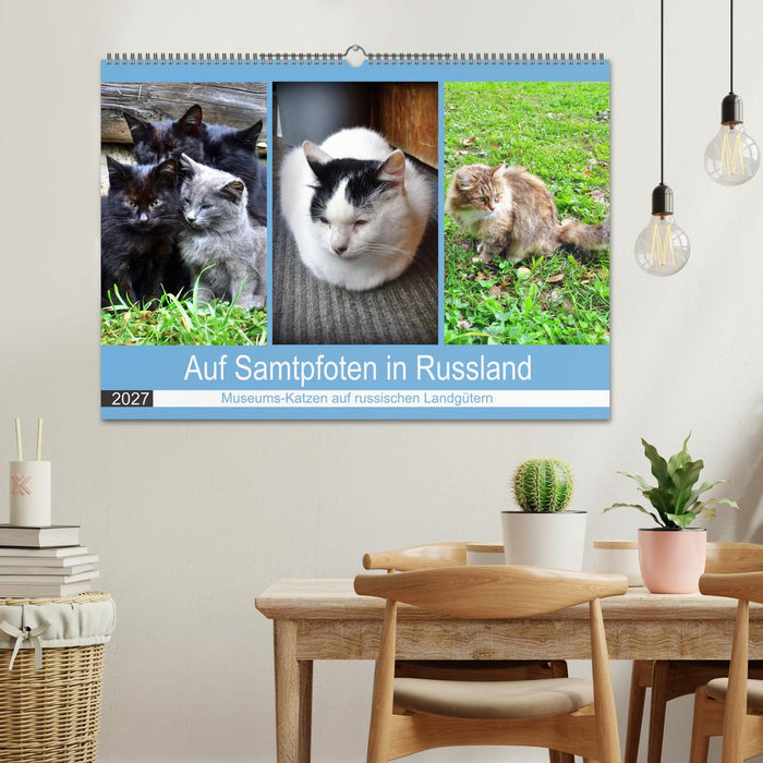 Auf Samtpfoten in Russland - Museums-Katzen auf russischen Landgütern (CALVENDO Wandkalender 2027)