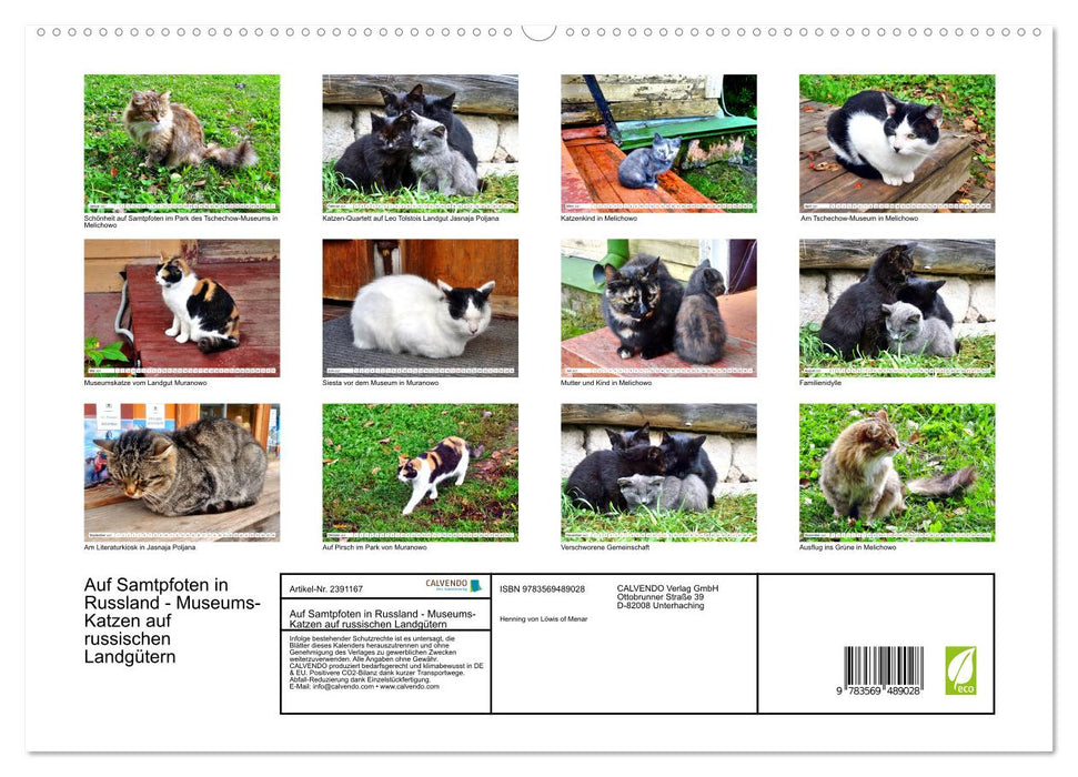 Auf Samtpfoten in Russland - Museums-Katzen auf russischen Landgütern (CALVENDO Wandkalender 2027)