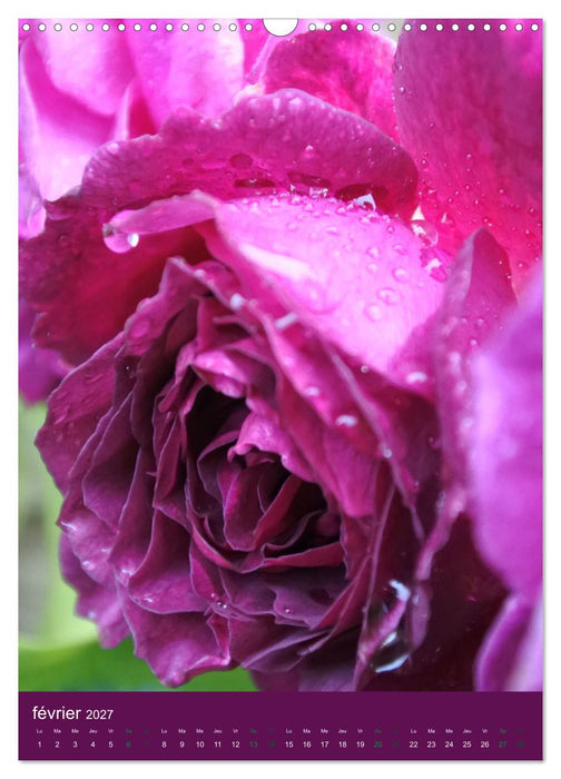 Senteurs florales (CALVENDO Calendrier mensuel 2027)