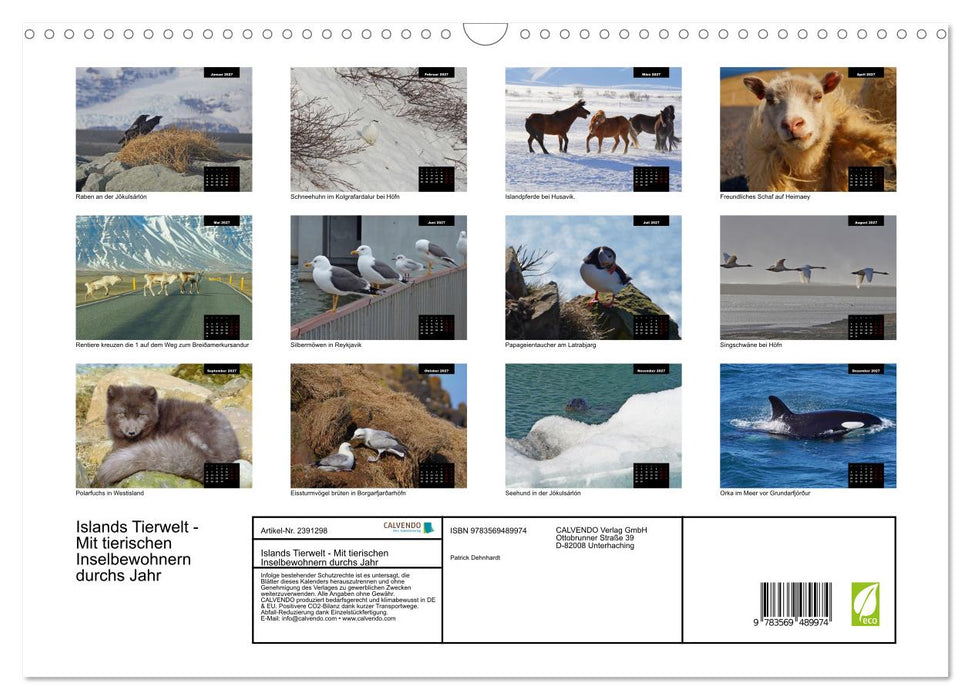 Islands Tierwelt - Mit tierischen Inselbewohnern durchs Jahr (CALVENDO Wandkalender 2027)
