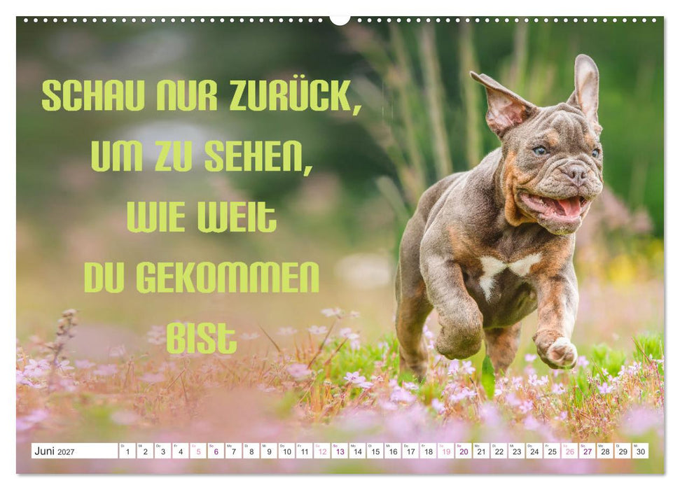Heute schon Prinzen geküsst? Spruchkalender (CALVENDO Premium Wandkalender 2027)