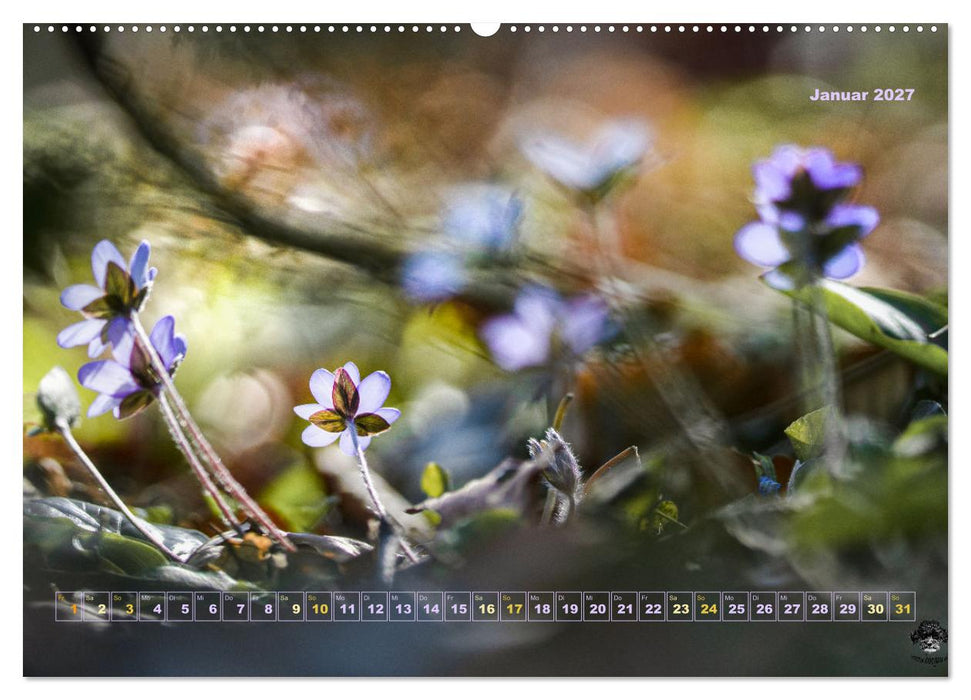 Magische Natur in NRW 2027 (CALVENDO Wandkalender 2027)