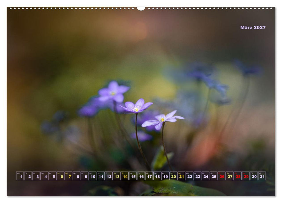 Magische Natur in NRW 2027 (CALVENDO Wandkalender 2027)