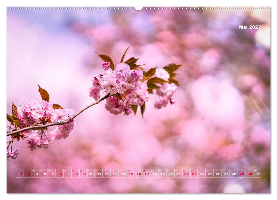 Magische Natur in NRW 2027 (CALVENDO Wandkalender 2027)