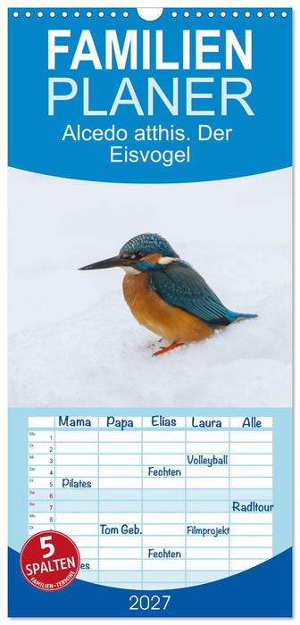 Alcedo atthis. Der Eisvogel (CALVENDO Familienplaner 2027)