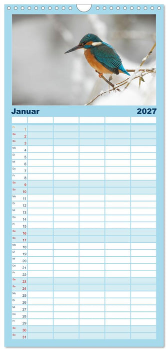 Alcedo atthis. Der Eisvogel (CALVENDO Familienplaner 2027)