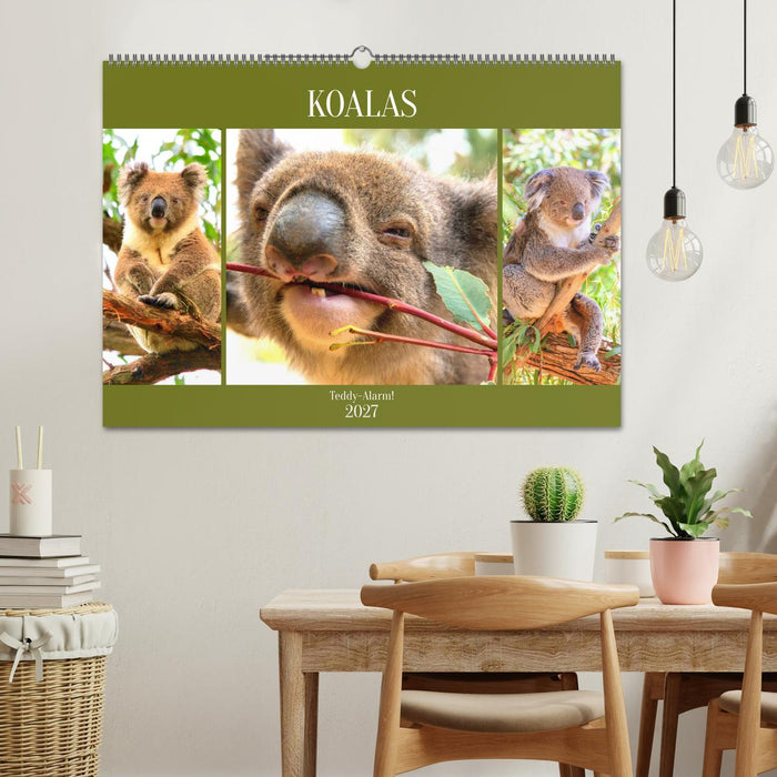 Koalas. Teddy-Alarm! (CALVENDO Wandkalender 2027)