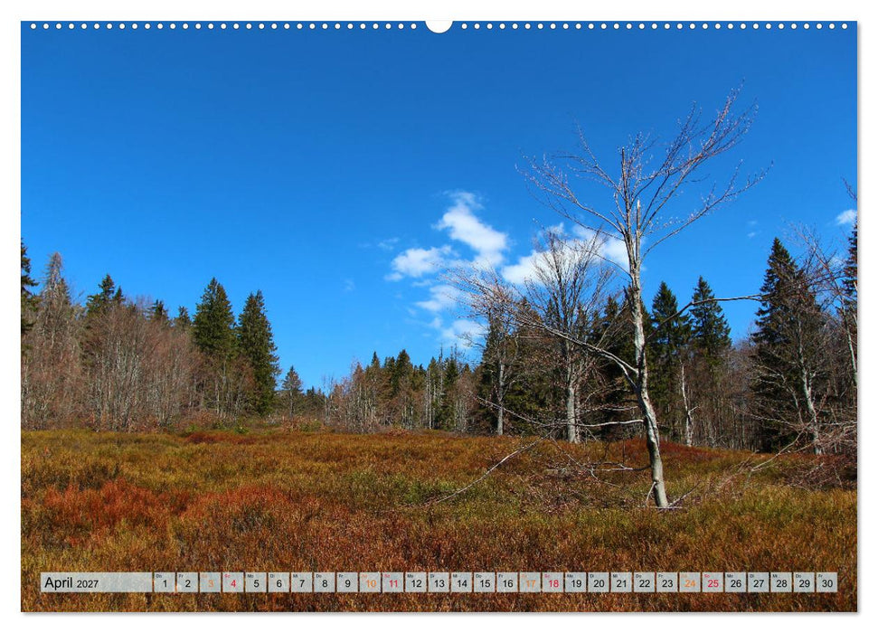 Bayer-Woid-Buidl (CALVENDO Premium Wandkalender 2027)