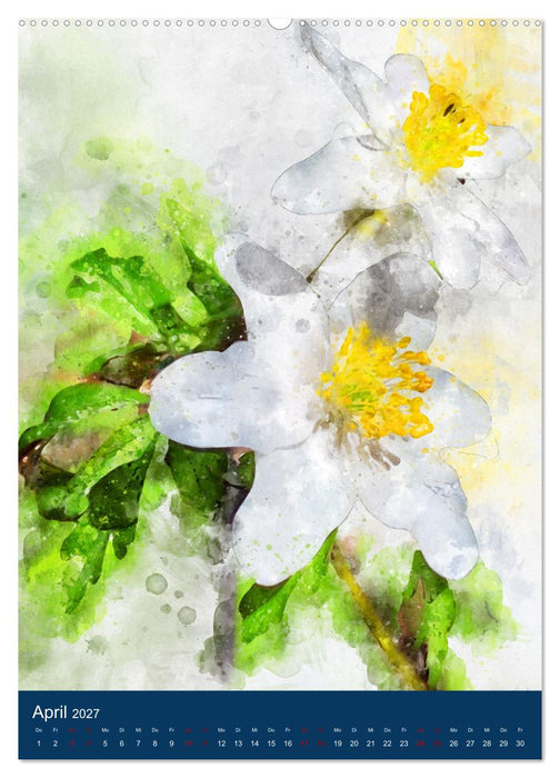 Wilde Blumen - Illustrierter Blütenzauber der Pflanzenwelt (CALVENDO Wandkalender 2027)