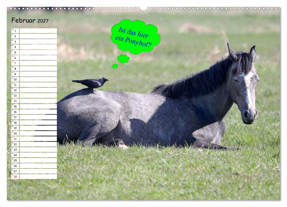 Wenn Tiere Sprechen könnten! Der lustige Sprüche Geburtstagskalender (CALVENDO Premium Wandkalender 2027)