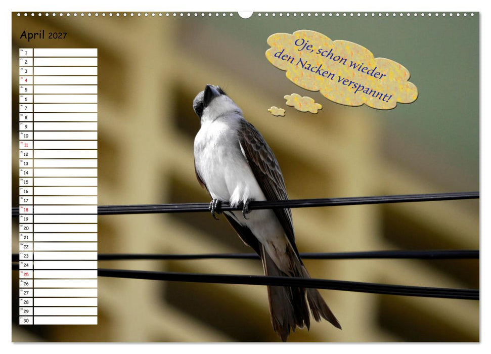 Wenn Tiere Sprechen könnten! Der lustige Sprüche Geburtstagskalender (CALVENDO Premium Wandkalender 2027)