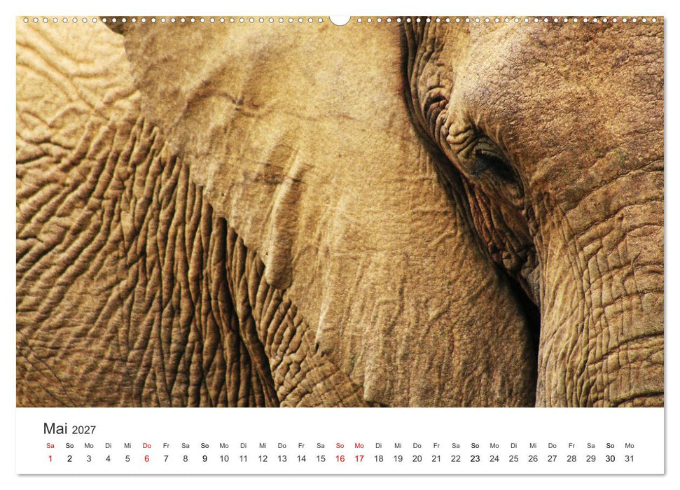 Bezauberndes Südafrika (CALVENDO Premium Wandkalender 2027)