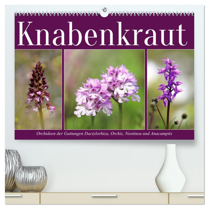 Knabenkraut (CALVENDO Premium Wandkalender 2027)