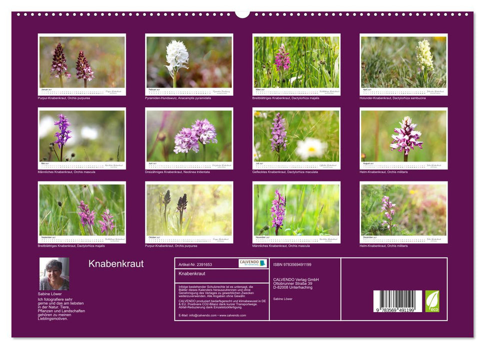 Knabenkraut (CALVENDO Premium Wandkalender 2027)