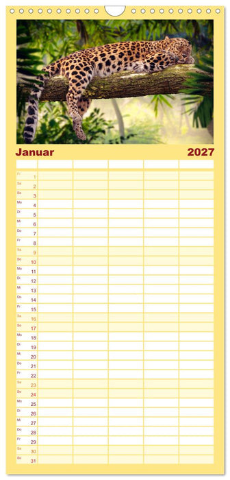 Erst schlafen, dann Welt retten (CALVENDO Familienplaner 2027)