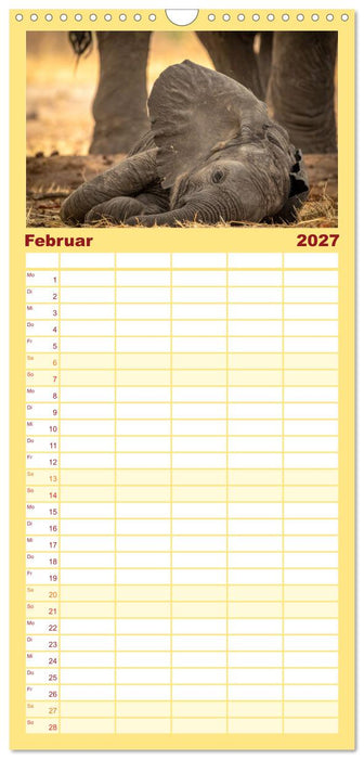 Erst schlafen, dann Welt retten (CALVENDO Familienplaner 2027)
