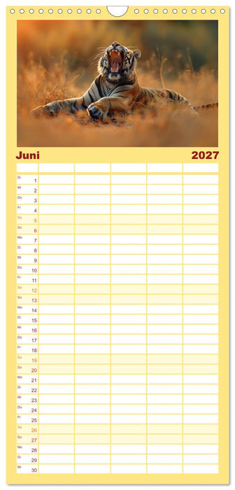 Erst schlafen, dann Welt retten (CALVENDO Familienplaner 2027)