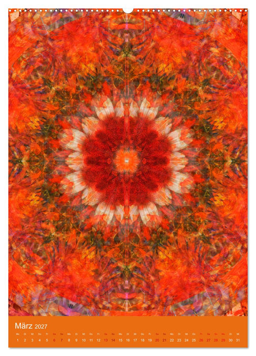 Meditative Pflanzenmandalas (CALVENDO Premium Wandkalender 2027)