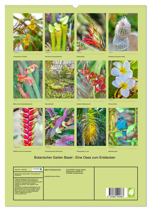 Botanischer Garten Basel - Eine Oase zum Entdecken (CALVENDO Wandkalender 2027)