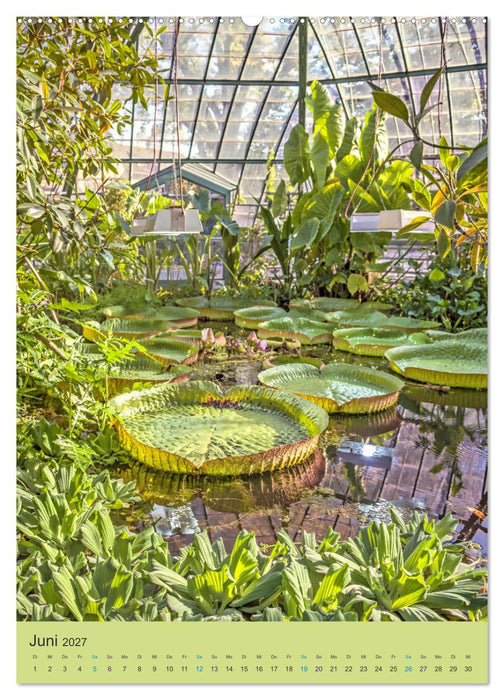 Botanischer Garten Basel - Eine Oase zum Entdecken (CALVENDO Wandkalender 2027)
