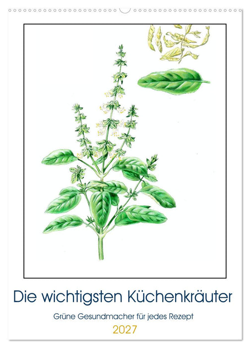 Die wichtigsten Küchenkräuter (CALVENDO Wandkalender 2027)