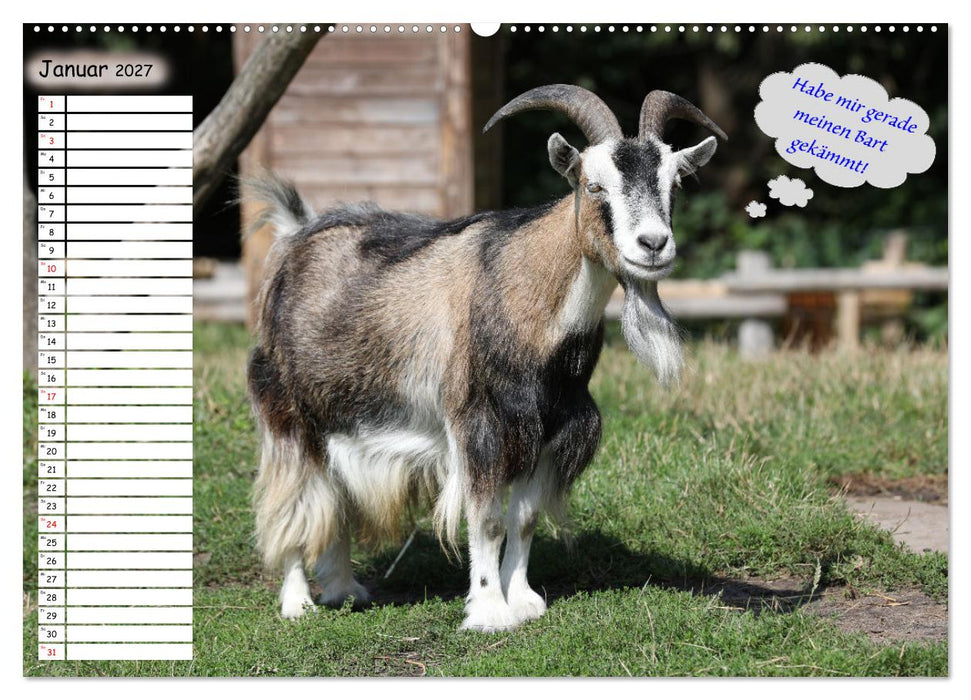 Wenn Tiere Sprechen könnten! Der lustige Sprüche Geburtstagskalender (CALVENDO Wandkalender 2027)