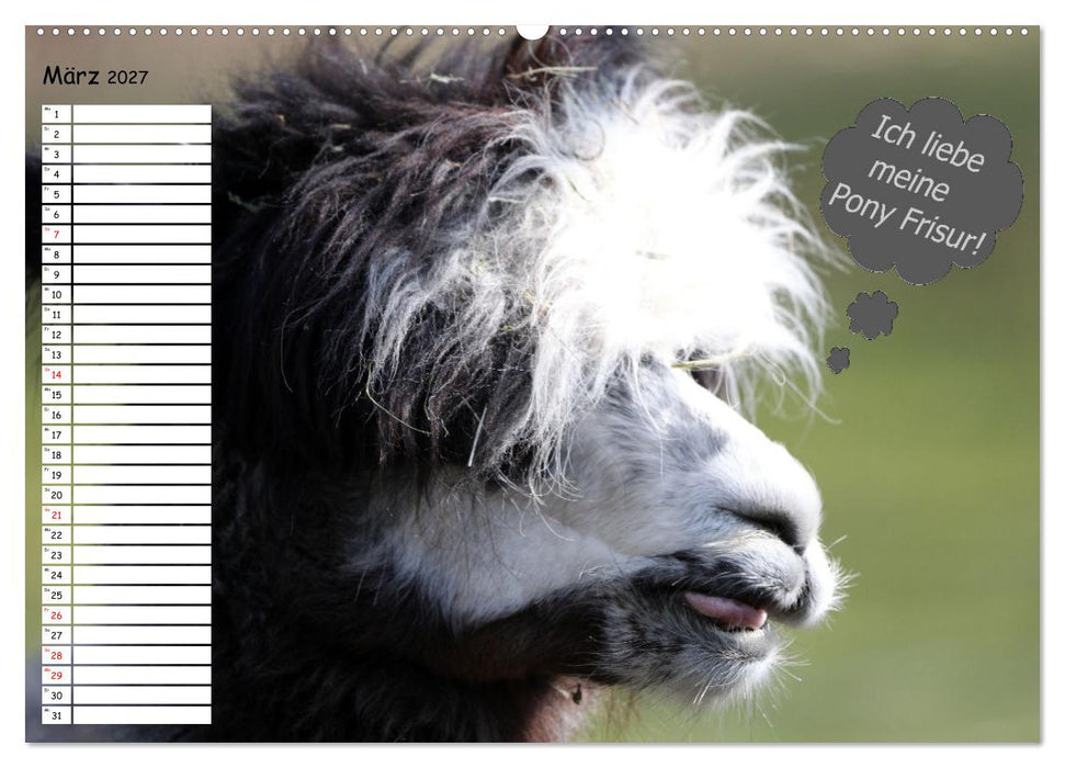 Wenn Tiere Sprechen könnten! Der lustige Sprüche Geburtstagskalender (CALVENDO Wandkalender 2027)