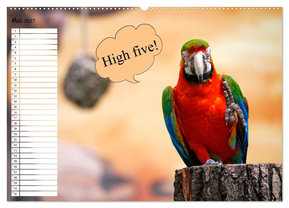 Wenn Tiere Sprechen könnten! Der lustige Sprüche Geburtstagskalender (CALVENDO Wandkalender 2027)