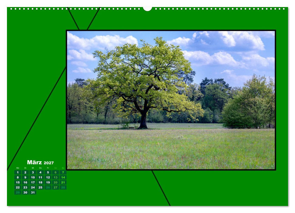 Heilende Farbe Grün (CALVENDO Wandkalender 2027)