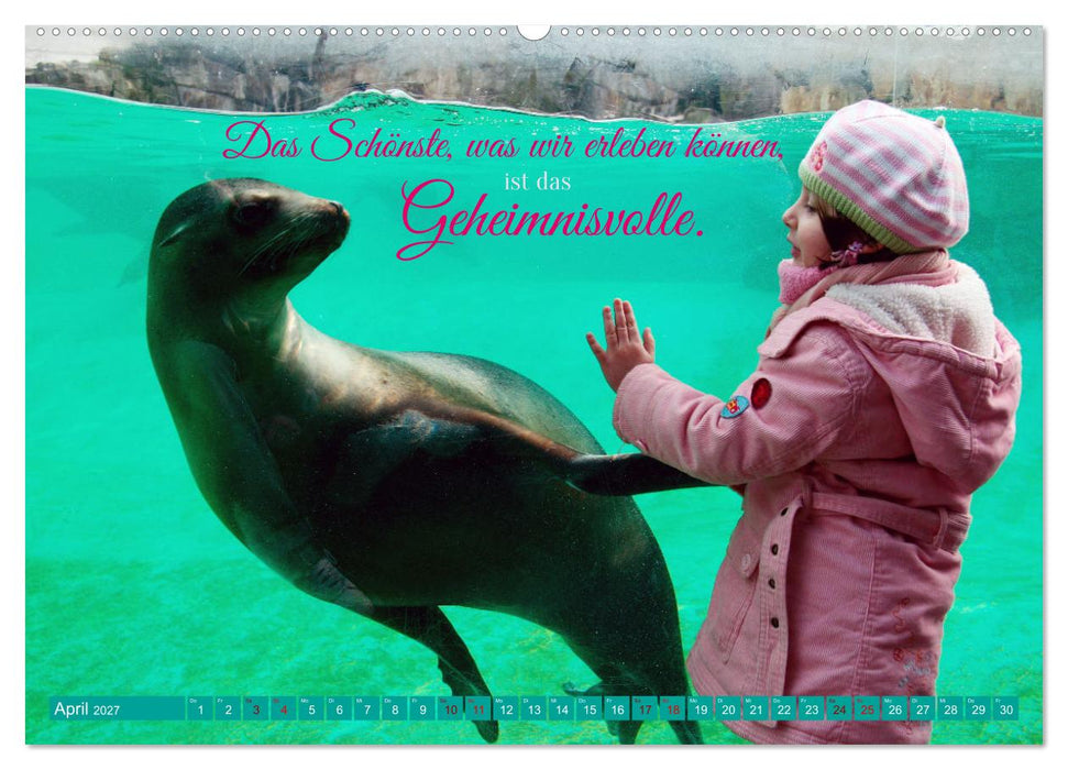 Jeder ist ein Genie! Zitate von Albert Einstein (CALVENDO Wandkalender 2027)