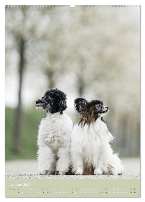 Flora Canidae - der Hunde-Blühpflanzen-Kalender (CALVENDO Wandkalender 2027)