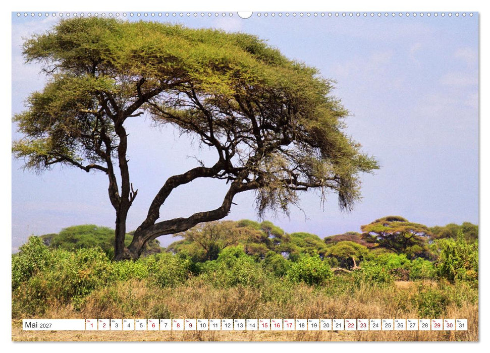 Superschöne Reiseziele (CALVENDO Wandkalender 2027)