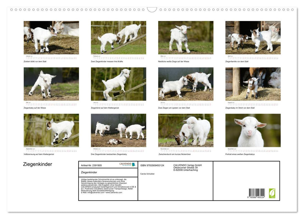 Ziegenkinder (CALVENDO Wandkalender 2027)