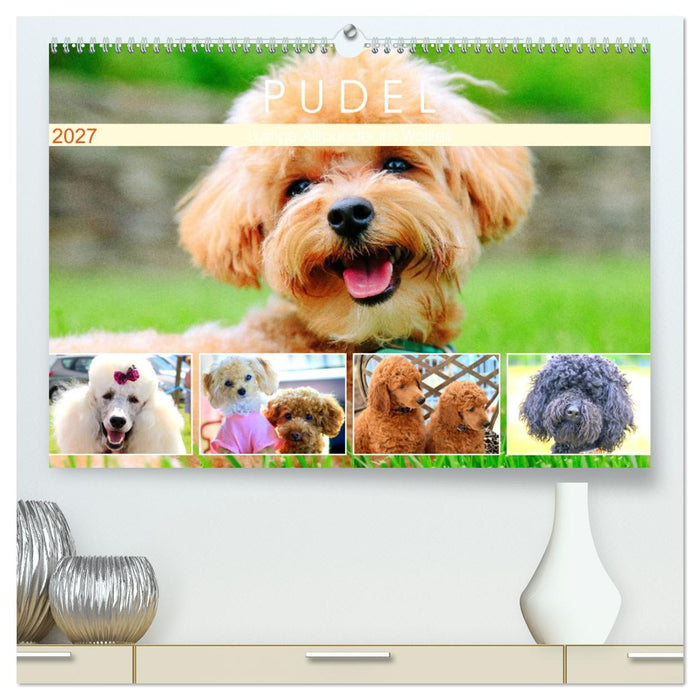 Pudel. Lustige Allrounder im Wollfell (CALVENDO Premium Wandkalender 2027)