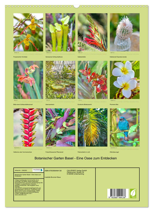 Botanischer Garten Basel - Eine Oase zum Entdecken (CALVENDO Premium Wandkalender 2027)