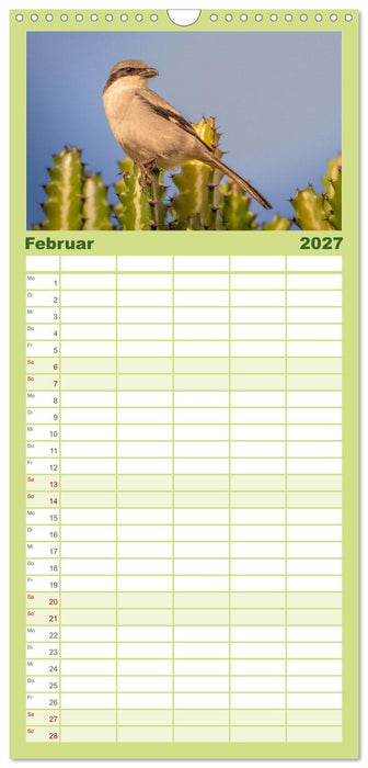 Die schönsten Brutvögel Lanzarotes (CALVENDO Familienplaner 2027)