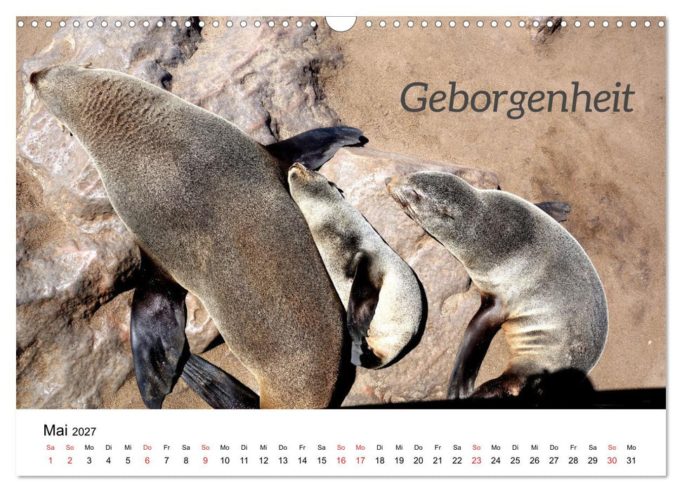 Ich wünsche Dir... Wünsche für das neue Jahr (CALVENDO Wandkalender 2027)