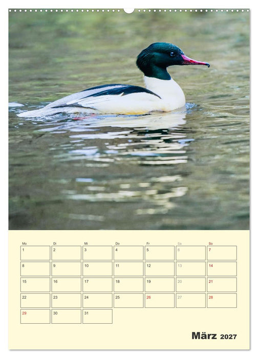Vogelwelt an der Sieg (CALVENDO Wandkalender 2027)